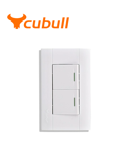 INTERRUPTOR DOBLE EMPOTRADO SERIE A3-007